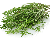 Sprigs of rosemary against a white background
