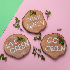 Wooden plaques with text reading"think green, live green, go green"