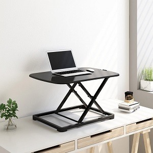 Single tier FlexiSpot riser with laptop and mouse